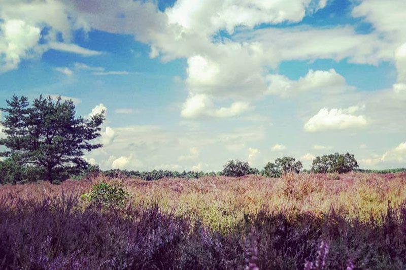 routebord Heuvelse Heide rood