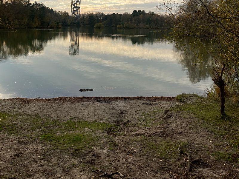 listing card gallery