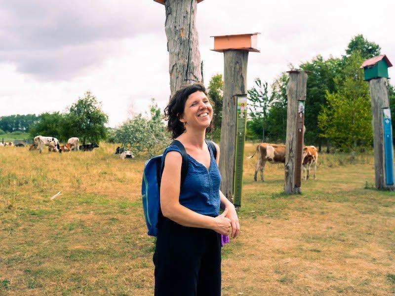 listing card gallery