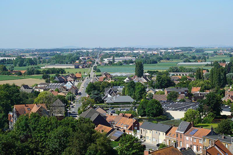 Hooglede groene lus