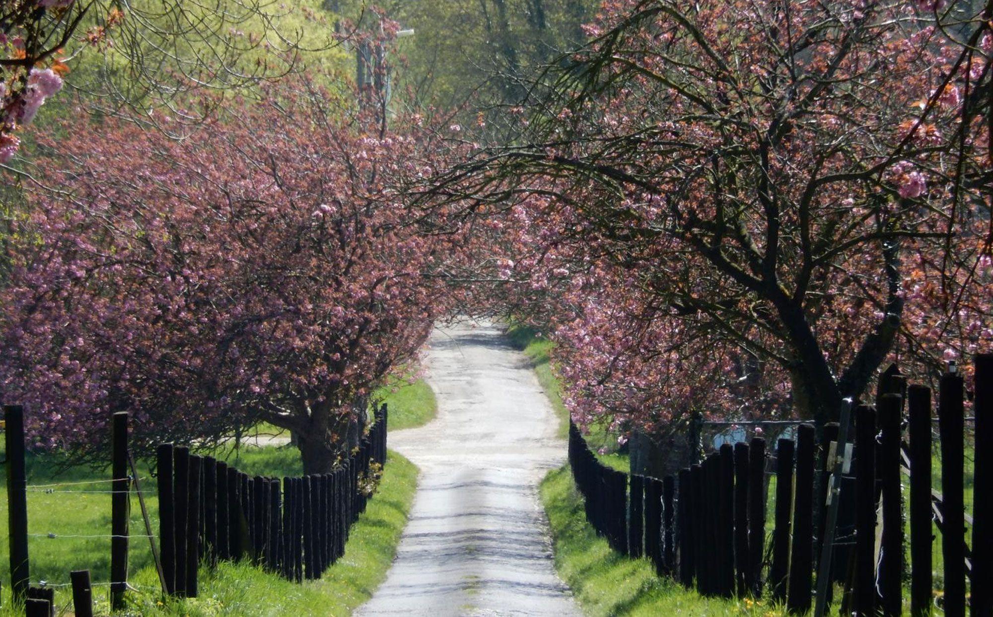Wandelroutes in Huldenberg