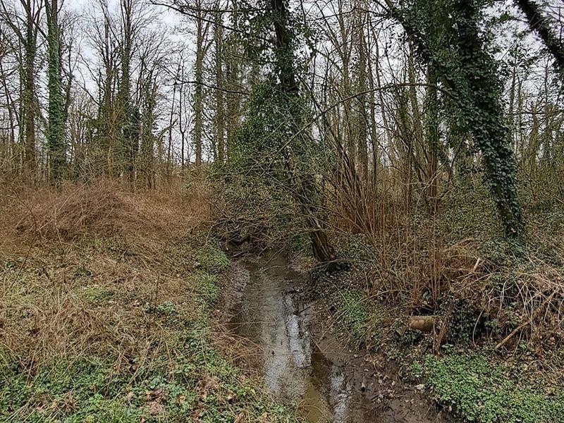 Kampenhout: De mooiste wandelingen