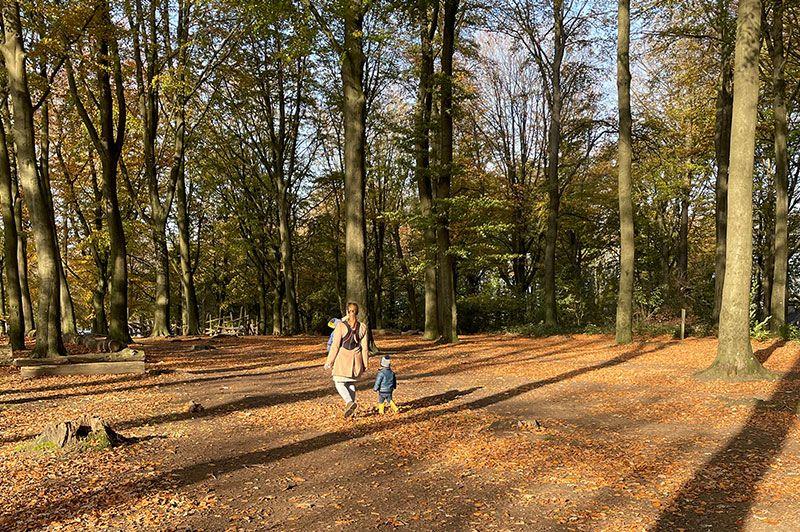 Kluisbos Wandelroute