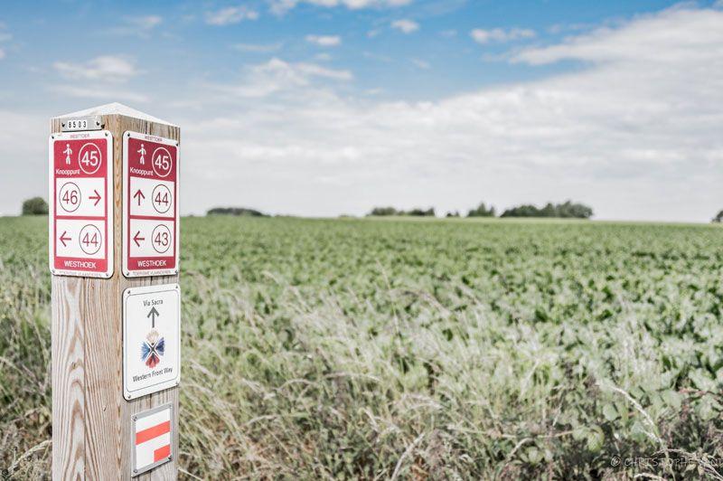 listing card gallery