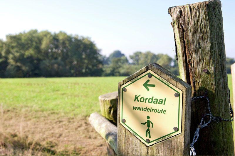 listing card gallery