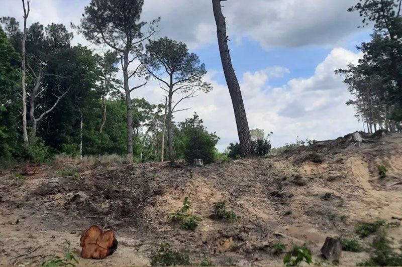 listing card gallery