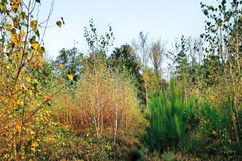 listing card gallery