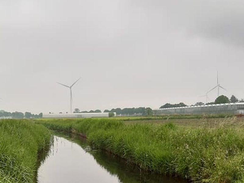 listing card gallery