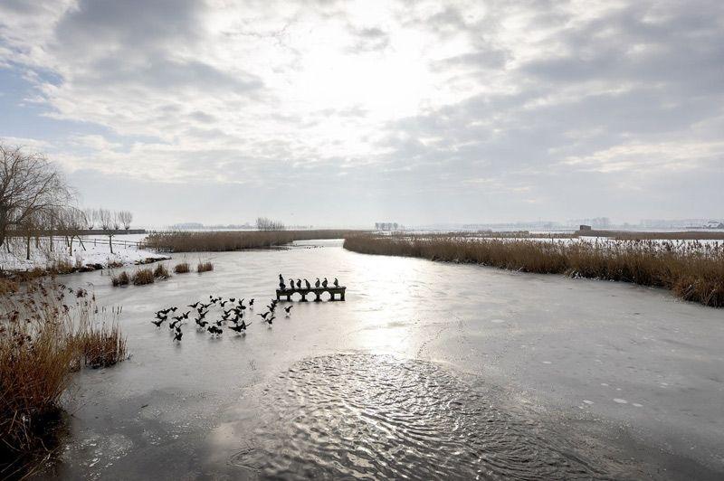 Leopoldkanaal fietsroute