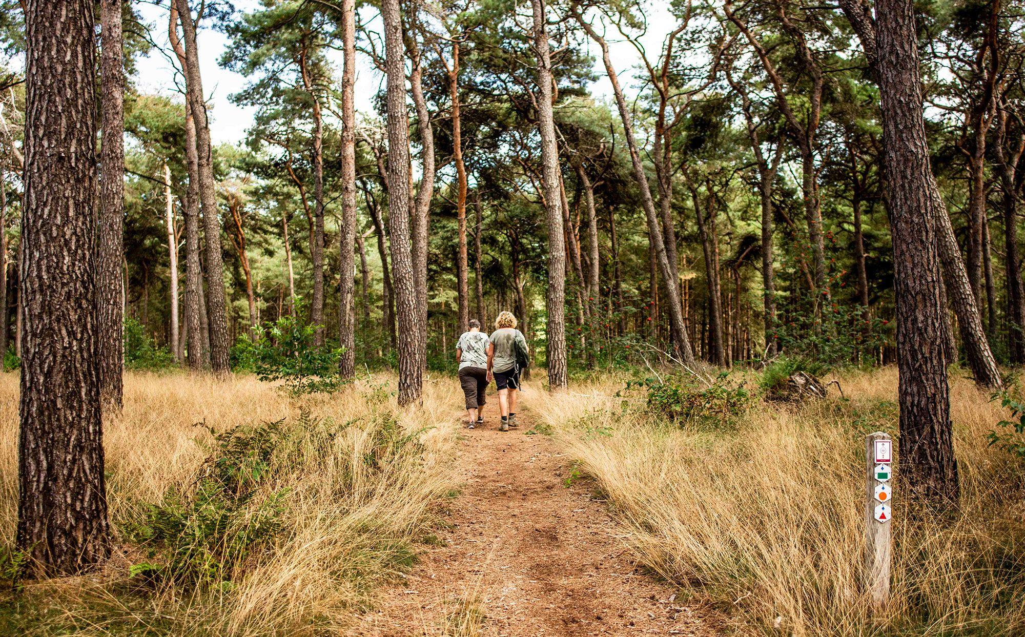 Wandelroutes in Lommel
