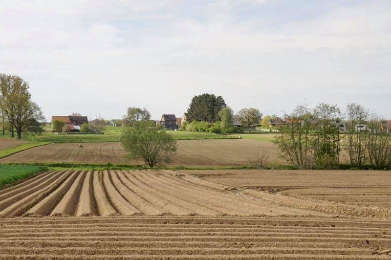 Wandelroutes in Lubbeek