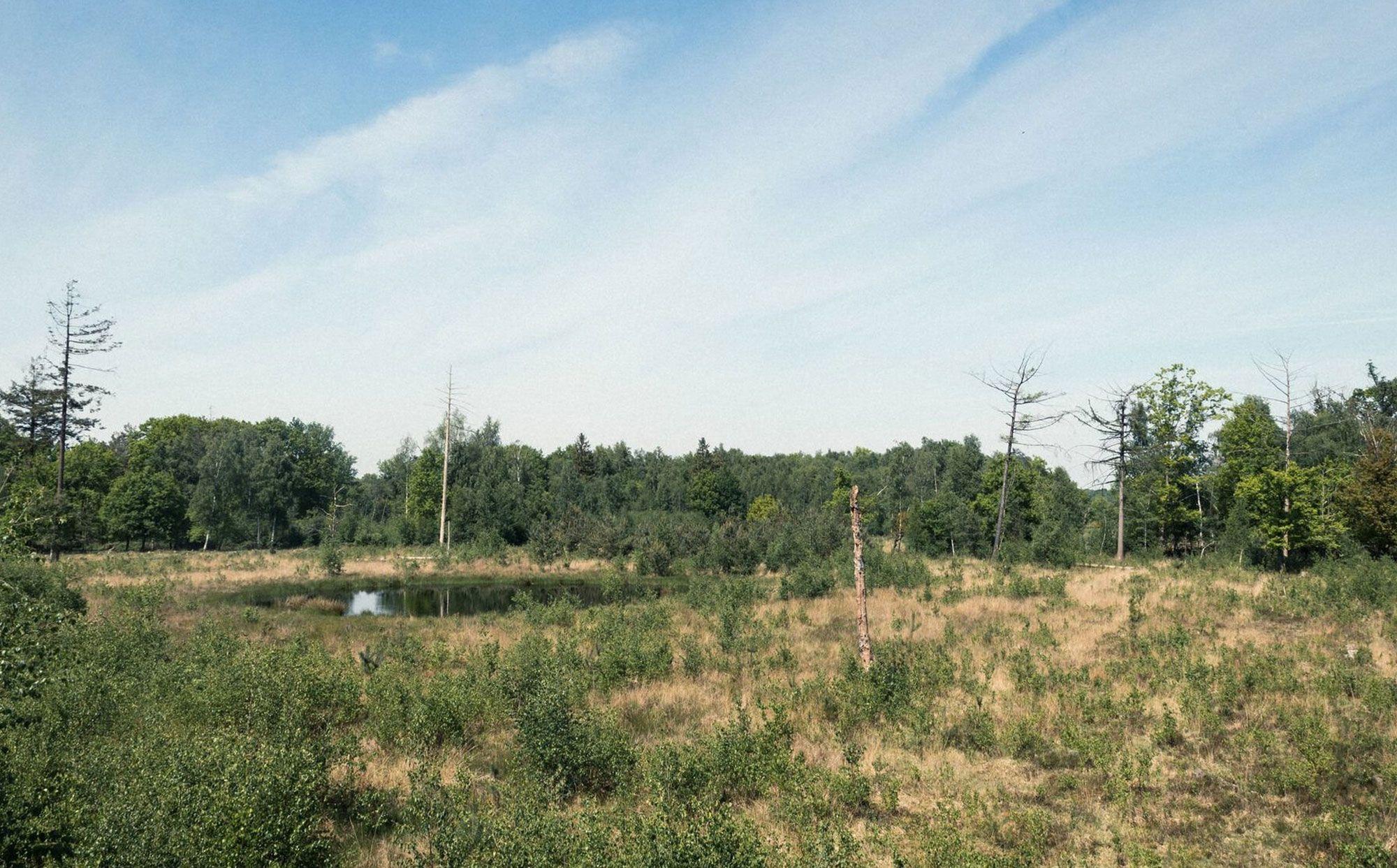 Wandelingen in Maldegem