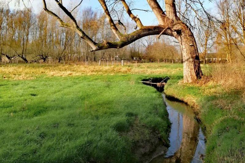 Wandelroutes in Meise