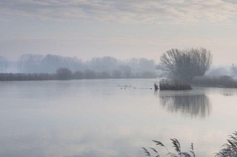 listing card gallery