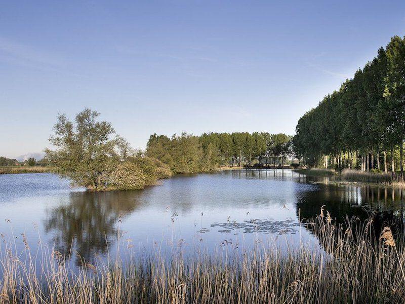 listing card gallery