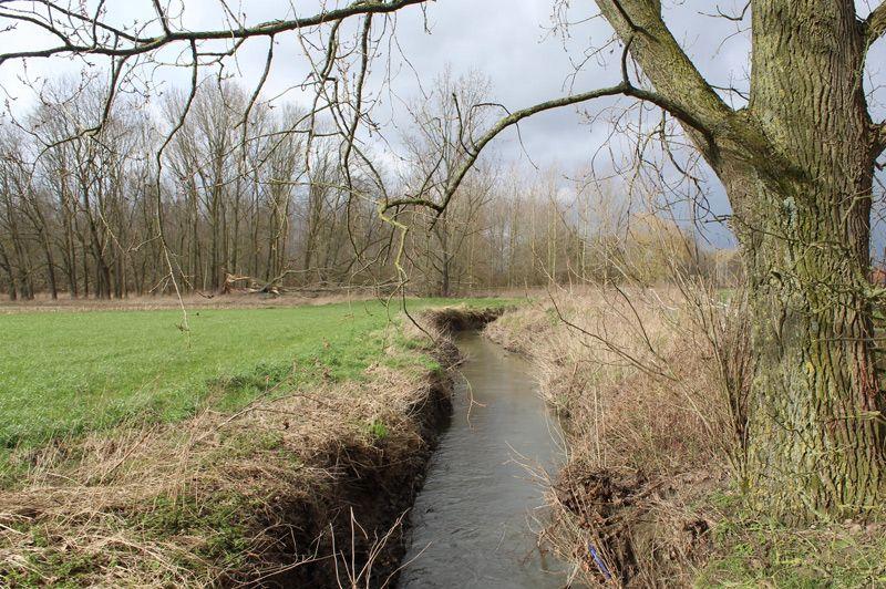 listing card gallery