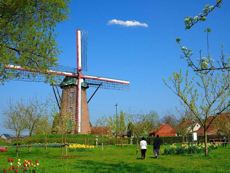 listing card gallery