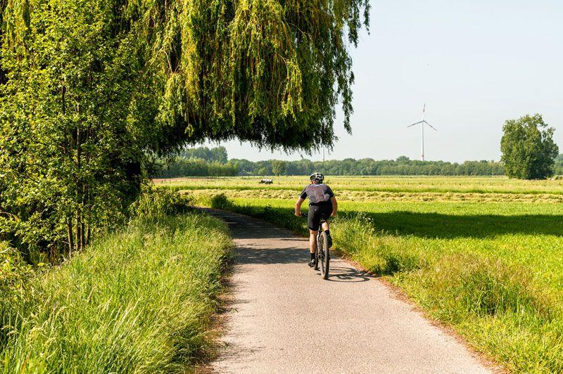 MTB Avelgem groene lus