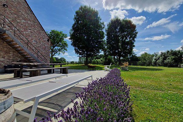 Vakantiewoning Munsterhof foto 3