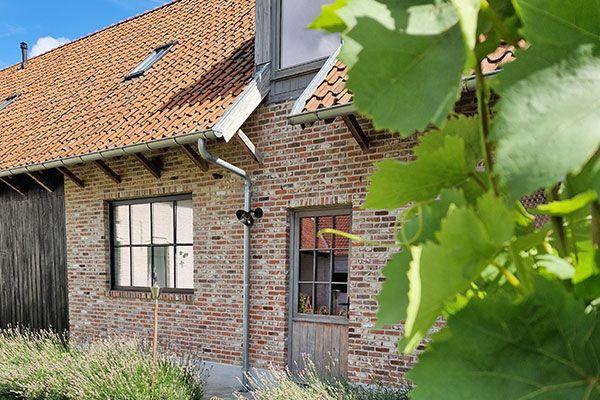 Vakantiewoning Munsterhof foto 4