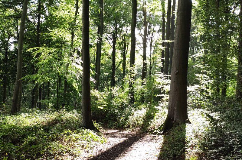 Neigembos Wandelroute