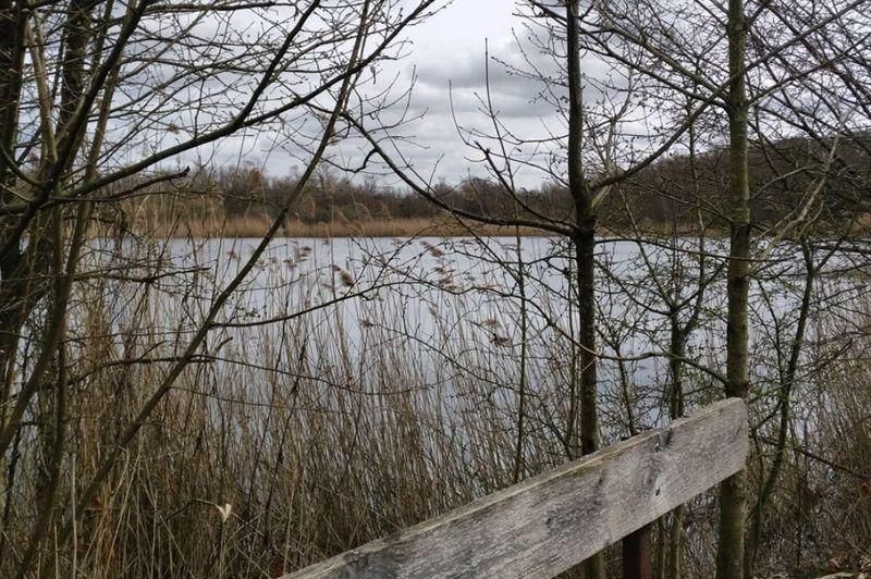 listing card gallery