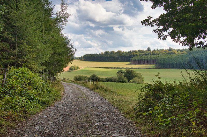 De mooiste wandelingen in Ochamps