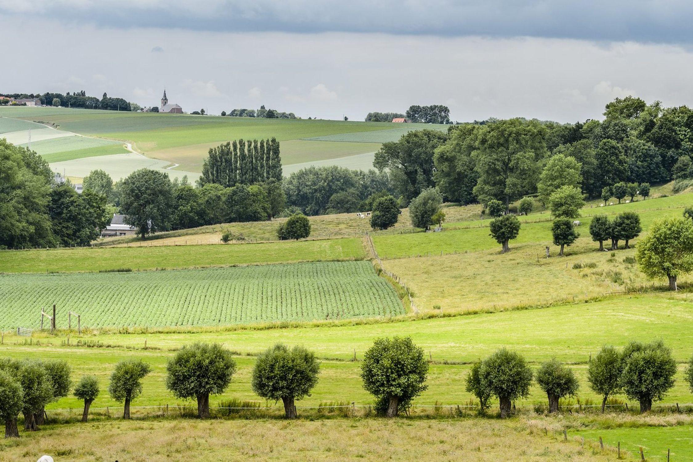 Wandelen in Oost-Vlaanderen