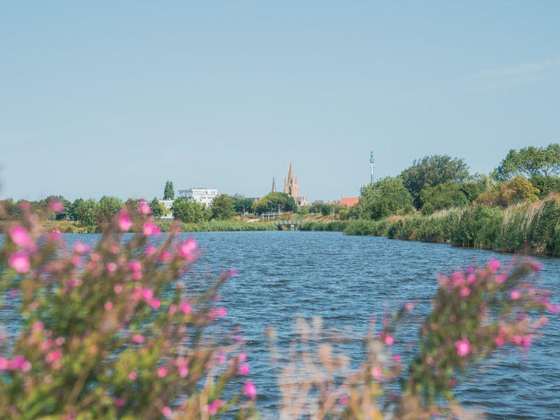 listing card gallery