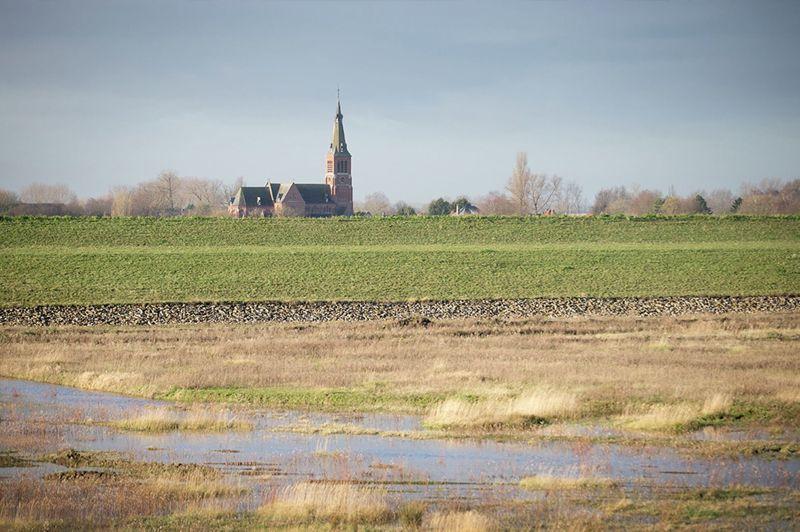 listing card gallery