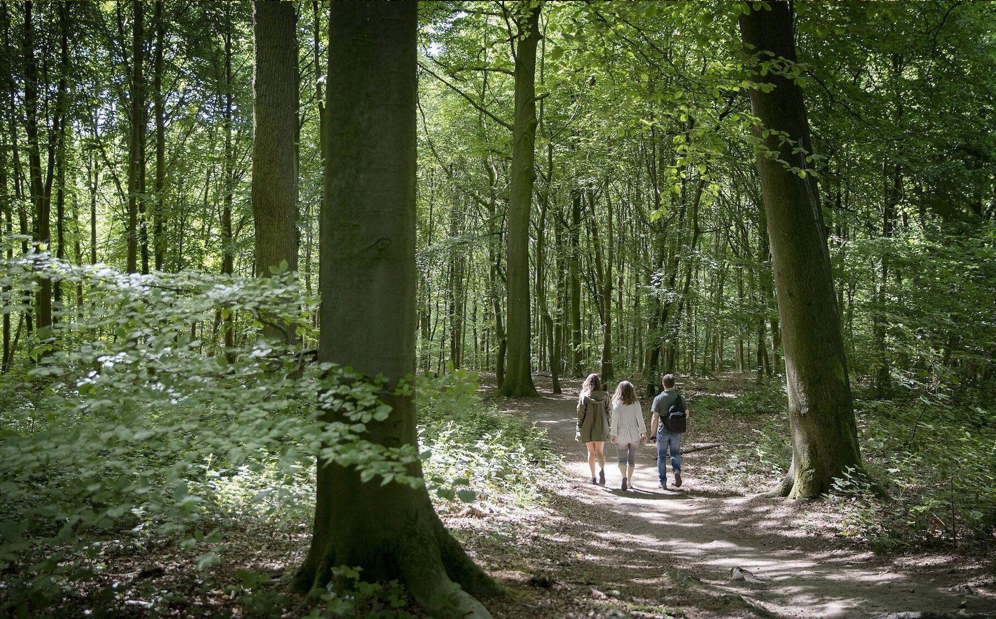 Wandelen in Oudenaarde