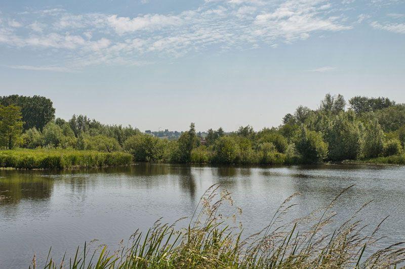 listing card gallery