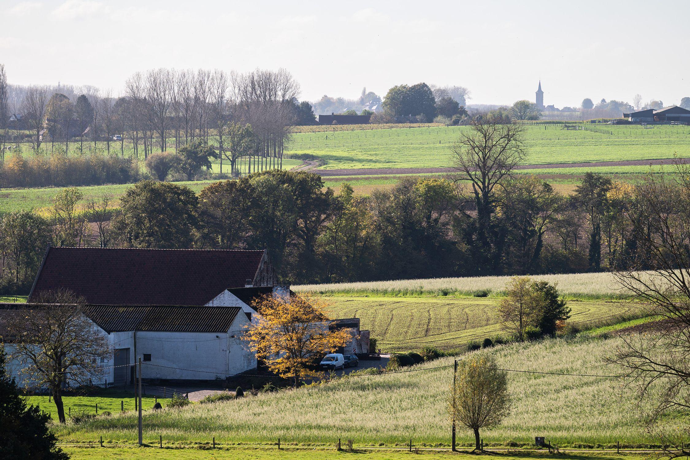 Wandelen in Pajottenland