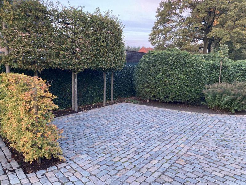 Vakantiehoeve Denenhof foto 3