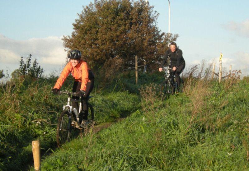 Boerhovenroute - Blauwe lus