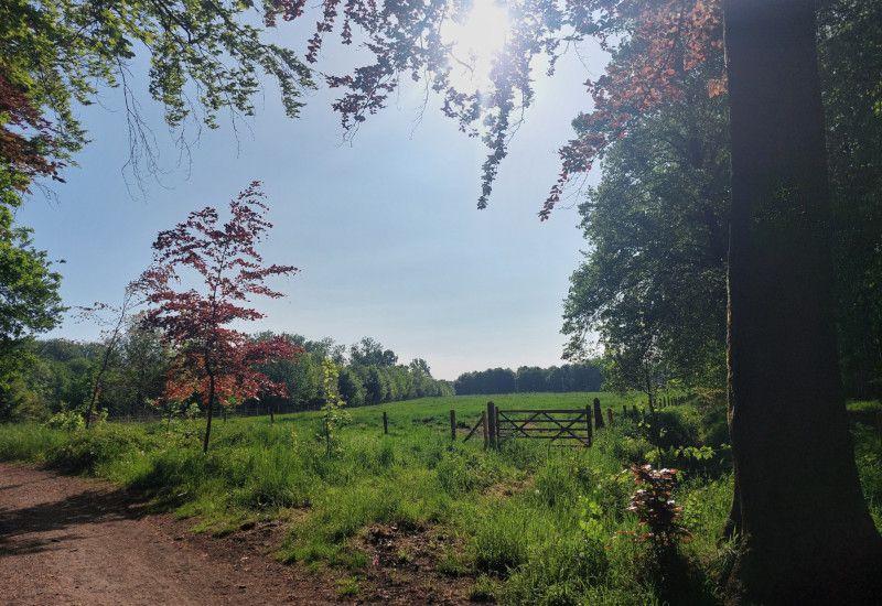 Ontdek 101 Leiespots