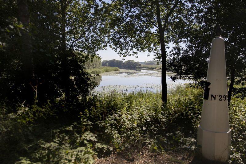 listing card gallery