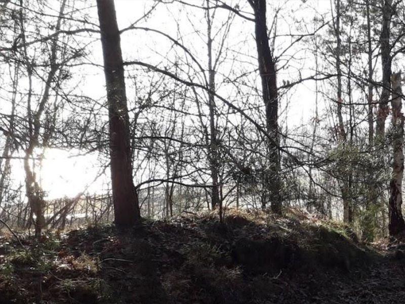 listing card gallery