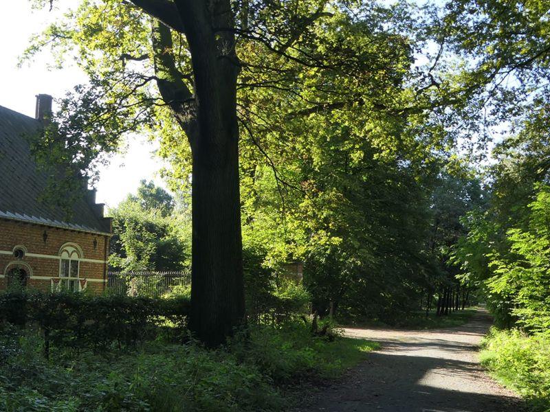 listing card gallery