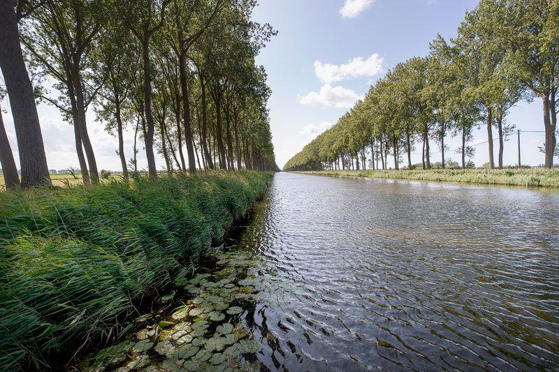 Romboutswervewandeling