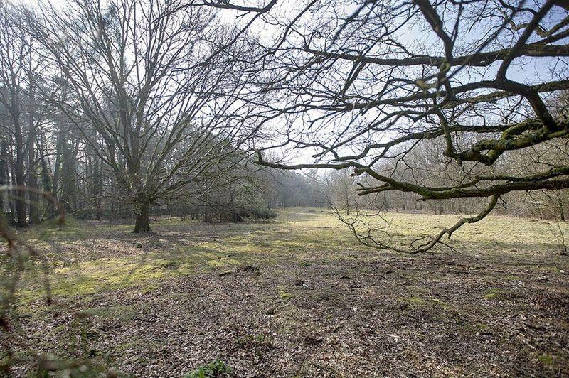 Roosenberg Wandelroute (Rood)