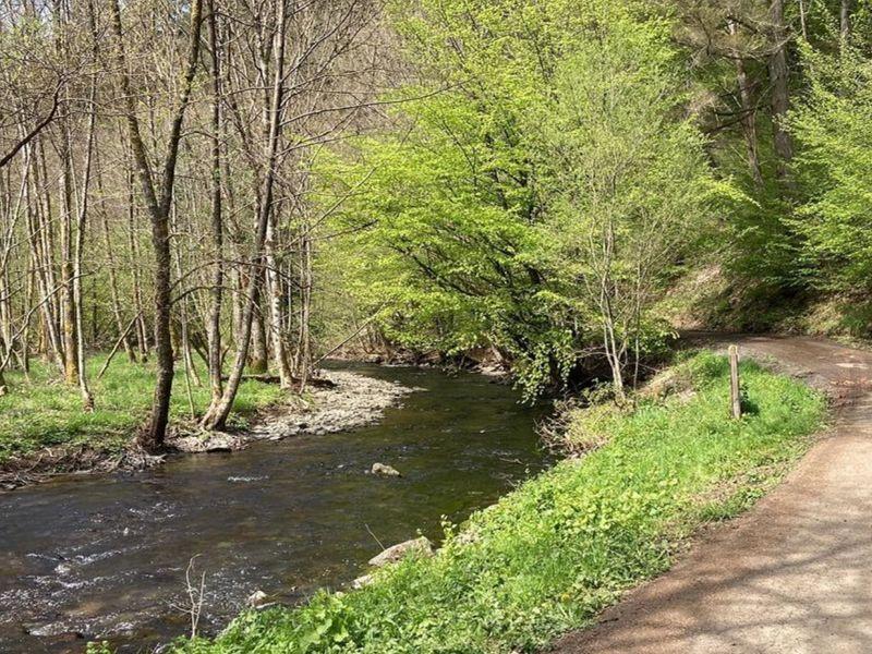 De mooiste wandelingen in Saint-Hubert