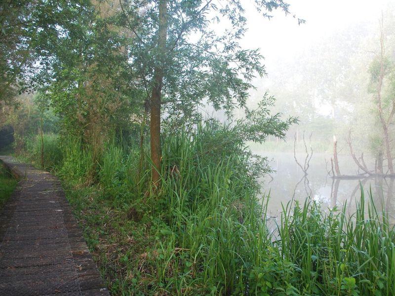 Schelde fietsroute tussen Merelbeke en Oudenaarde