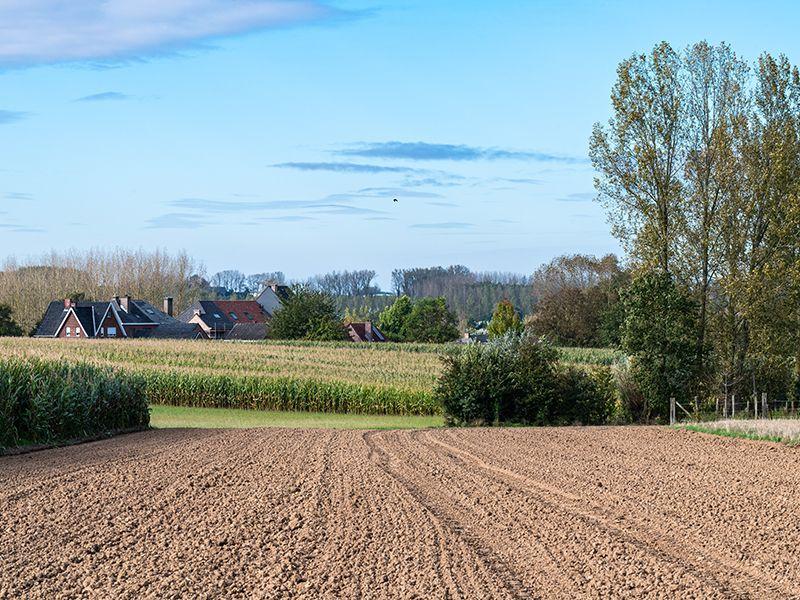 listing card gallery