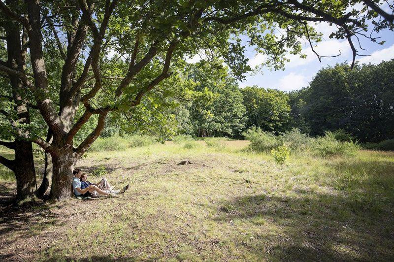 listing card gallery