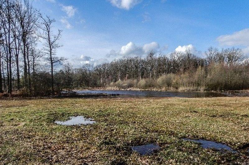 listing card gallery