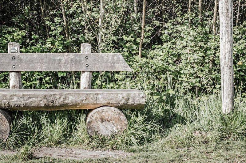 listing card gallery