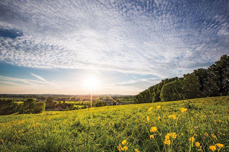 listing card gallery