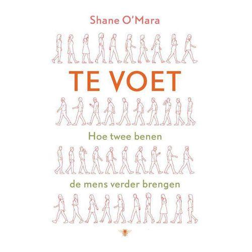 3) Te Voet – Shane O’Mara