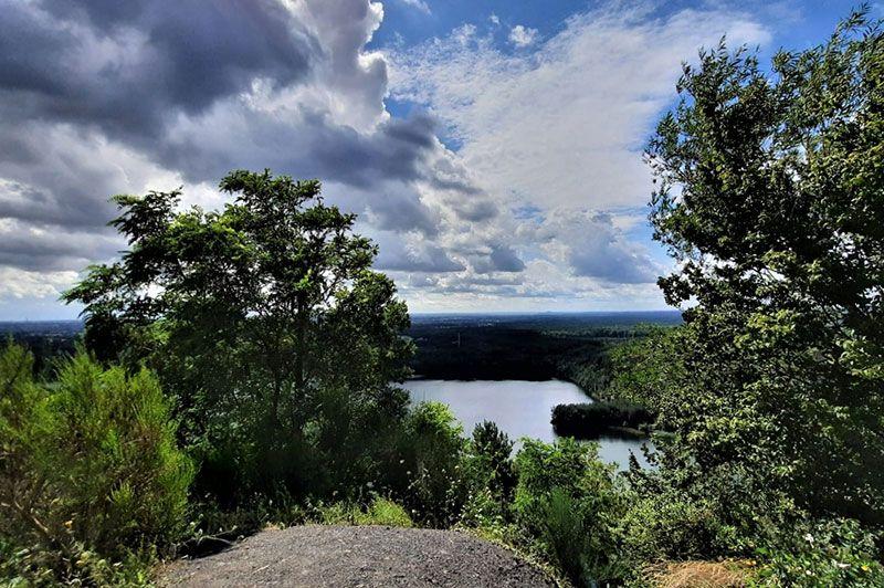 listing card gallery